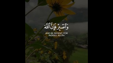 سورة هود / القارئ اسلام صبحي / تلاوه خاشعه / حالات واتس اب دينية / القرأن الكريم ❤️.