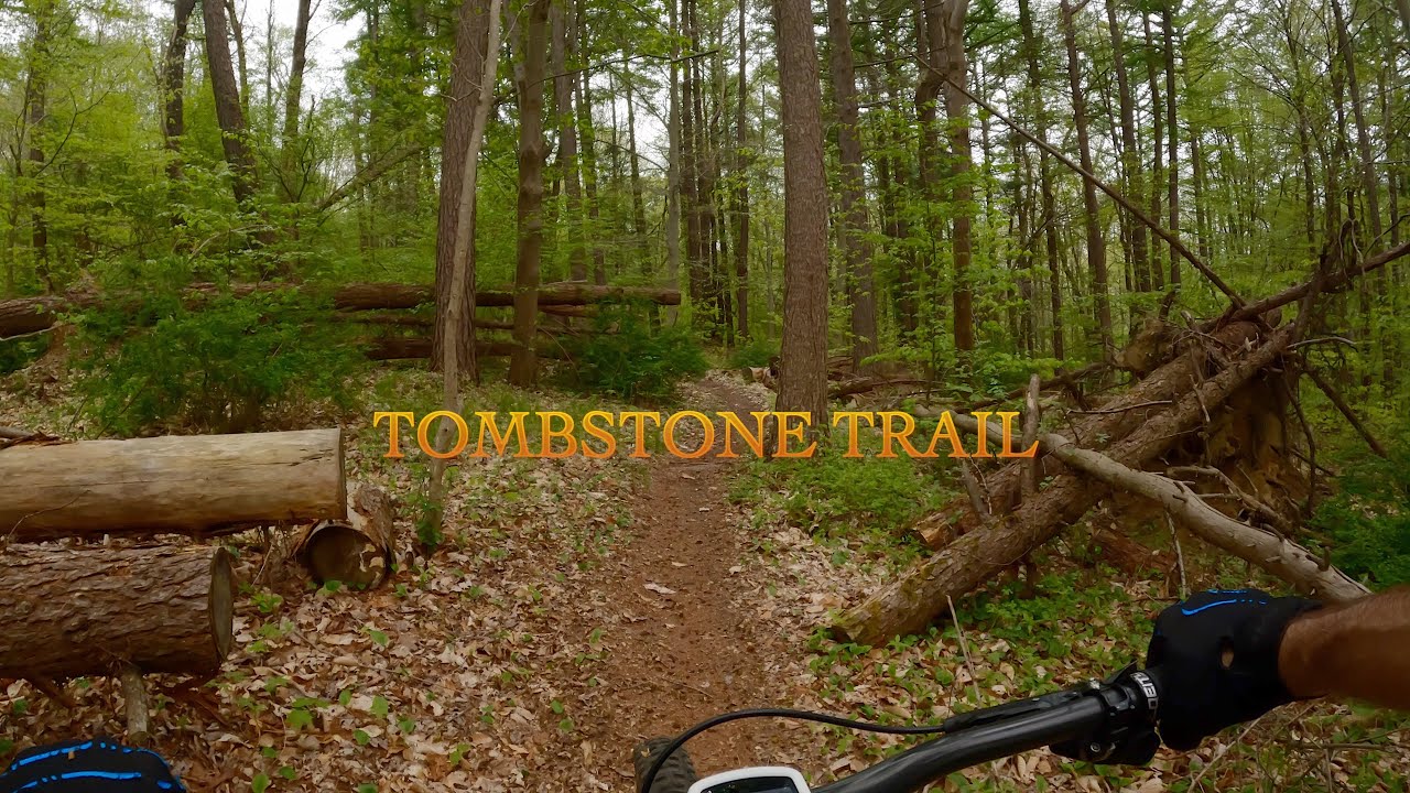 Wawayanda State Park Tombstone Trail May 14, 2022