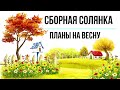 СБОРНАЯ СОЛЯНКА/ГРАНДИОЗНЫЕ ПЛАНЫ