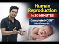 Human Reproduction in 40 Minutes 🔥