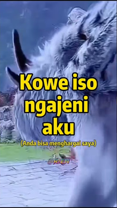 STORY WA kowe iso ngajeni,,, aku luweh iso ngajeni 30detik