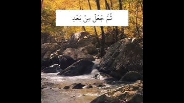 تلاوة خاشعة تريح القلب والاعصاب | حالات واتس اب دينيه | اللَّهُ الَّذِي خَلَقَكُمْ مِنْ ضَعْفٍ