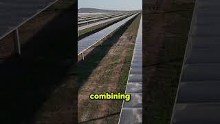 PowerSecure Solar + Storage Project to Boost Wyoming Grid Reliability