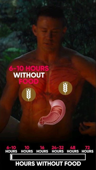 What Happens If You Eat NOTHING for 3 Days