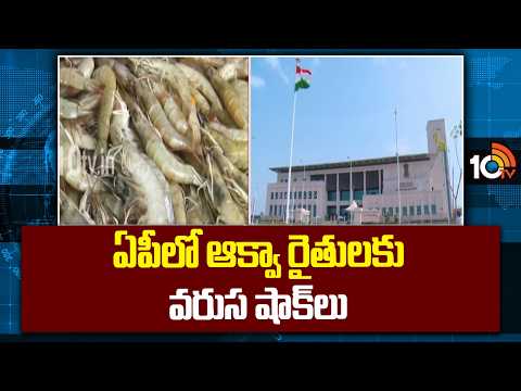 ఏపీలో ఆక్వా రైతులకు వరుస షాక్లు | AP aqua farmers | Aqua shrimp feed prices | High Court | 10TV