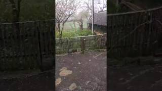 Cніг 23 квітня 2017 року в Карпатах | April 23, 2017 Snow in Carpathians | 23.04.17 снег в Карпатах