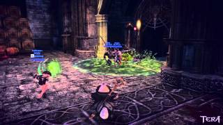 Tera Priest Combat