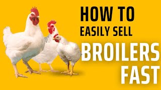 6 Easy Ways To Sell Your Broiler Chickens!