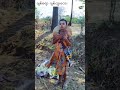 Jit Tu's Forest Groove! 🌳🎤 Dancing Like Nobody's Watching! ✨💖