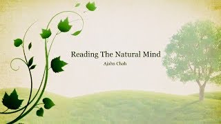 ☸☸☸ A Discourse On Reading The Natural Mind By Ajahn Chah ☸☸☸