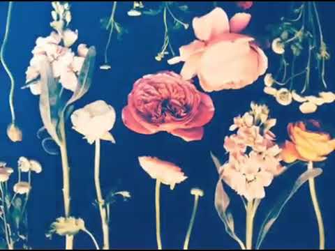 بيبقا بحيتنا بيبقا الامل