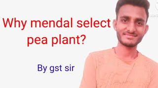 Principle of inheritance | Reason for selection of pea plant | mendal #neet2023 #biology #gst sir