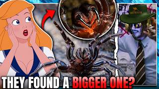AUSTRALIA IS NOT REAL 💀 | VTuber Reacts to MoreParz for the First Time