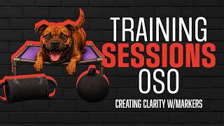 Training Sessions: How to Build Clear Communication with Your Dog | Marker Training w/ Oso