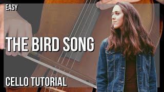 How To Play The Bird Song By Noah Floersch Ft Em Beihold On Cello (Tutorial)