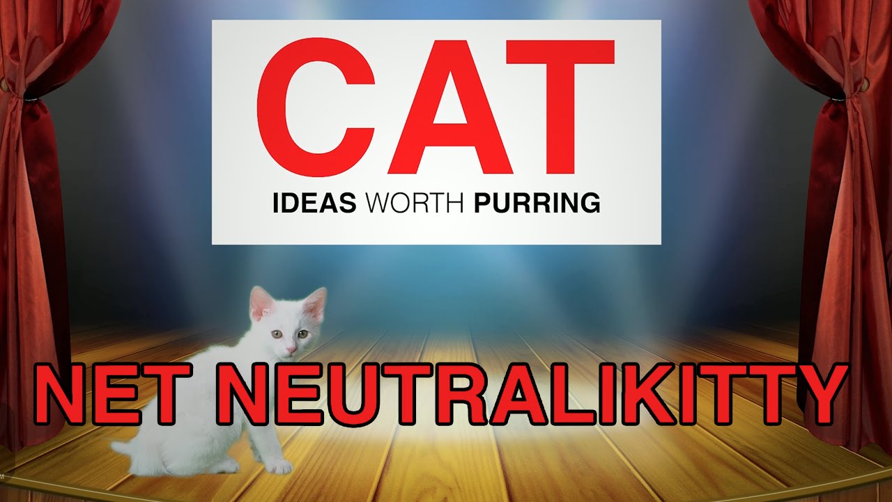 TED TALKS Kittens on Net Neutrality (Cute Kitten Version) YouTube