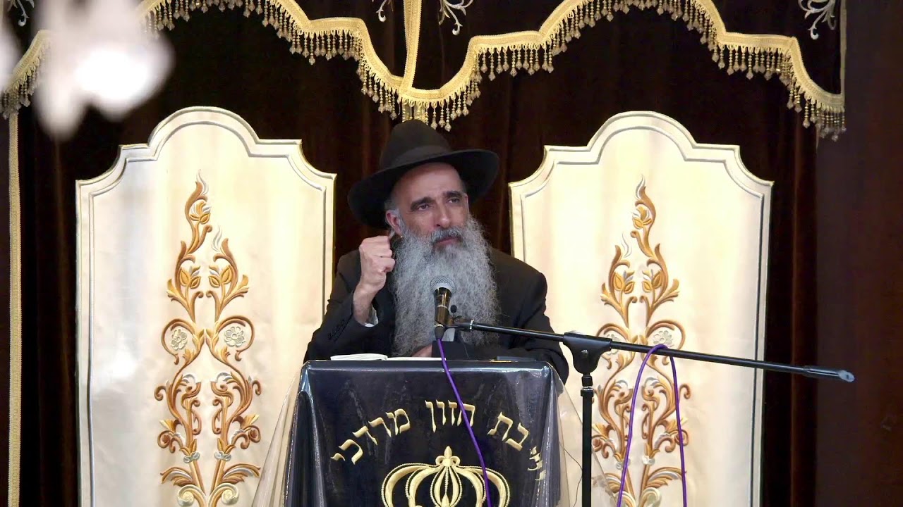 הרב מאיר דוד שמואלי שליט"א - פרשת בלק