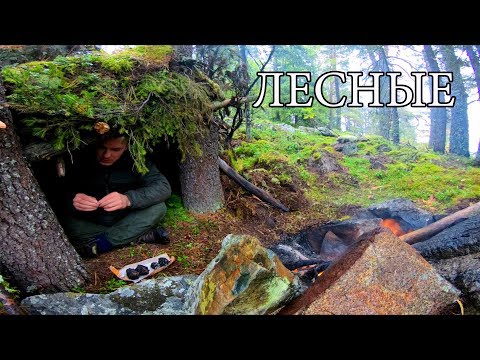 NO EQUIPMENT ONE IN THE TAIGA | FIND FOOD AND WATER | BUILD A COVER | REAL SURVIVAL