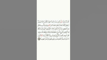 سورة الفتح: الآية 29 #قران_كريم #قرآن #اكسبلور #quran #سورة_الفتح