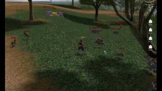 Metin2-Endurioncziterzy.wmv