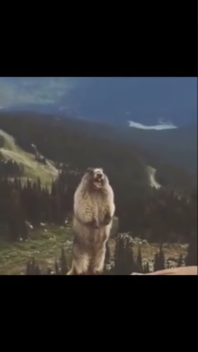 HAHHHH