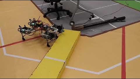 Robocon 19 - PolyU Crimson Quad Legged Robot