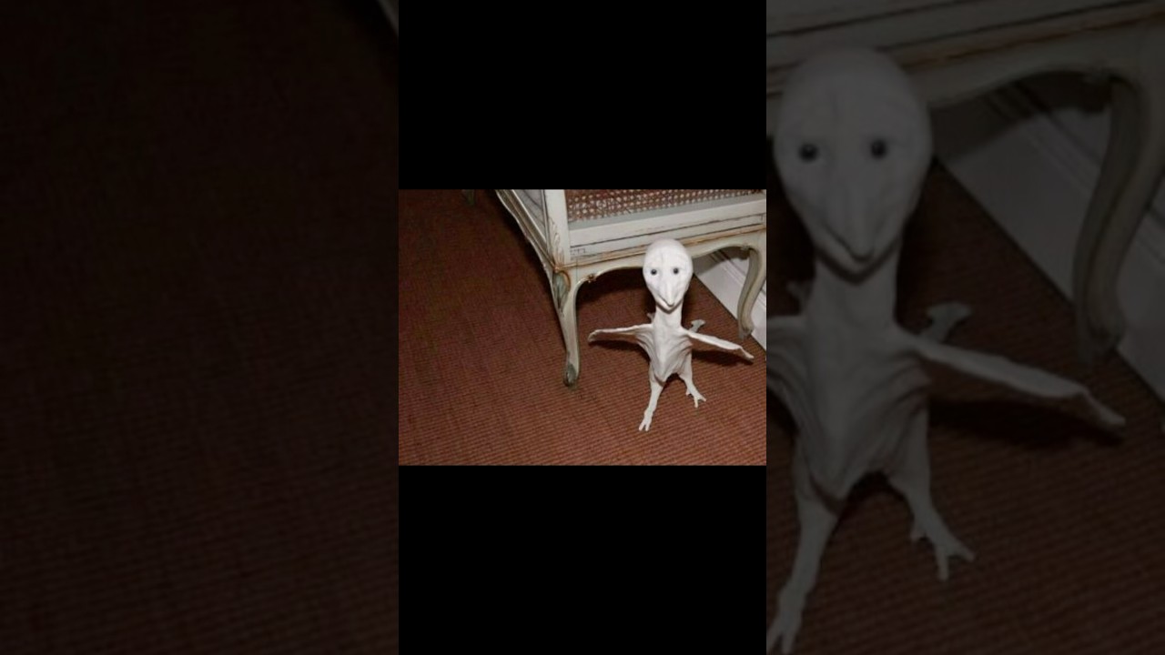 1人で戦うならどれにする？#忘れじの言の葉#shorts