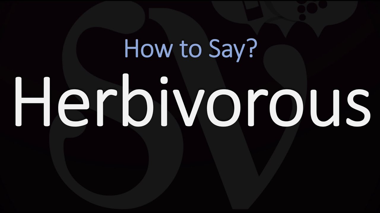 How To Pronounce Herbivorous? (Correctly) Meaning \U0026 Pronunciation