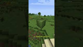 Optifine vs Original grass texture
