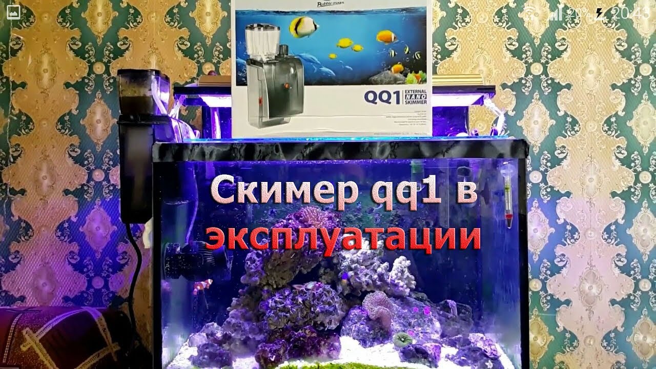 Скимер qq1 в эксплуатации - YouTube