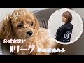【装備は】公式実況がMリーグ観てる部屋【ほぼ無】