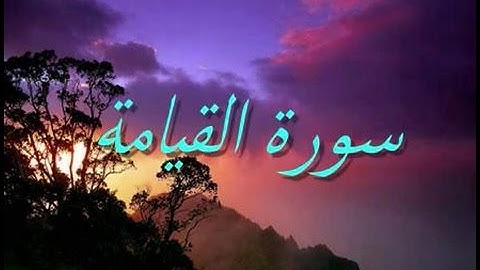 بكاء القارئ سلمان العتيبي لتلاوة مؤثرة سورة القيامة