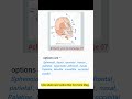 ncert bio diagram practice 07 | locomot. &amp; movement #ytshorts #neetupdate #neet2024 #neetmotivation