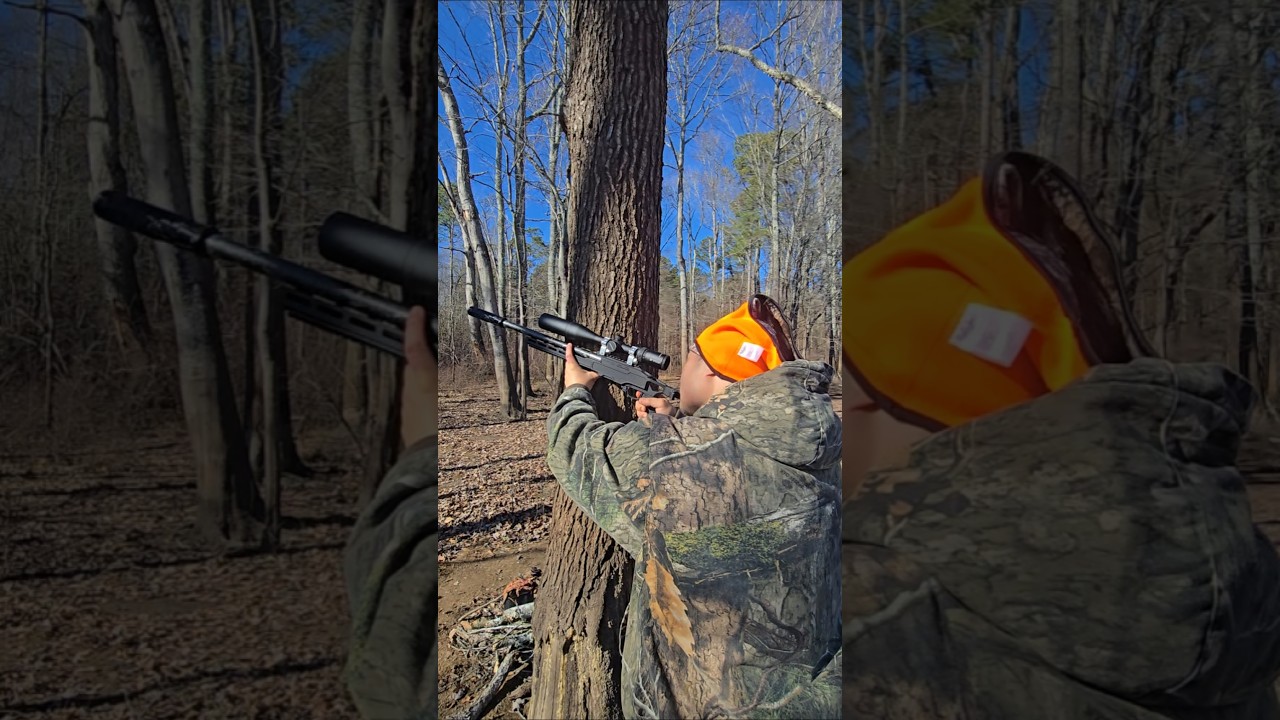 22lr long Rifle 10 22 