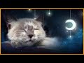 Расслабляющая колыбельная для кошек и котят 🐱💤 (с щебетанием кошек) - МУЗЫКА ДЛЯ КОШЕК - 1 ЧАС