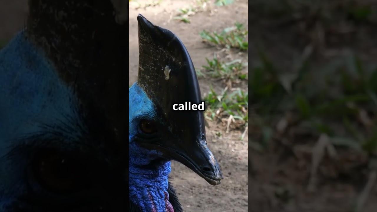 Six Feet Tall with a Built-in Hard Hat! 