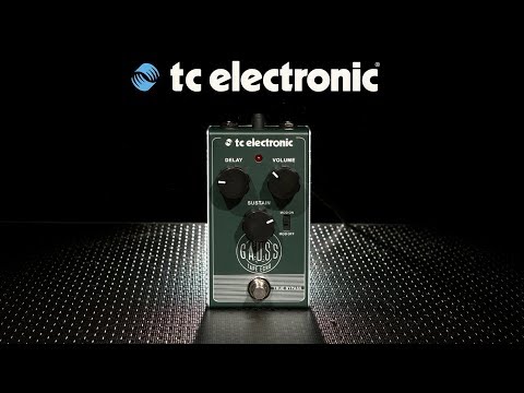 ギター tc electronic GAUSS TAPE ECHO TC Electronic | Product | GAUSS TAPE ECHO