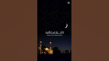 القرآن الكريم شفاء القلوب . #quran #اكسبلور