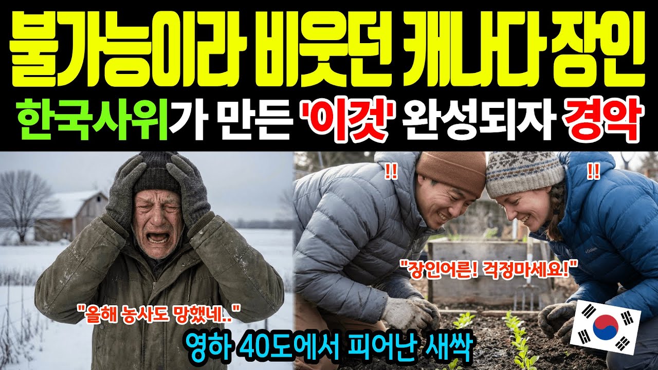 [해외감동사연] 