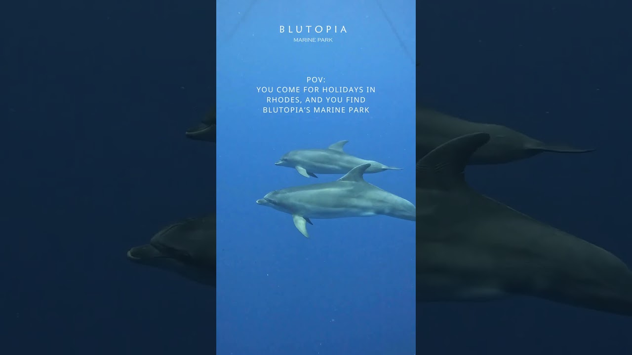 Blutopia Marine Experiences