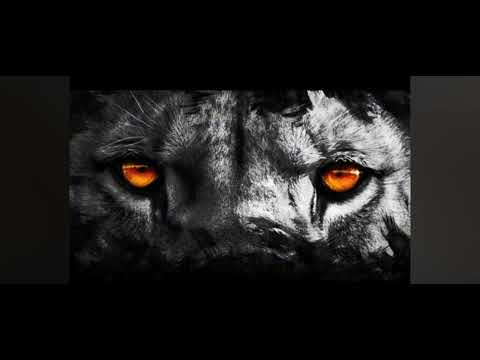 كولومبي سكار 