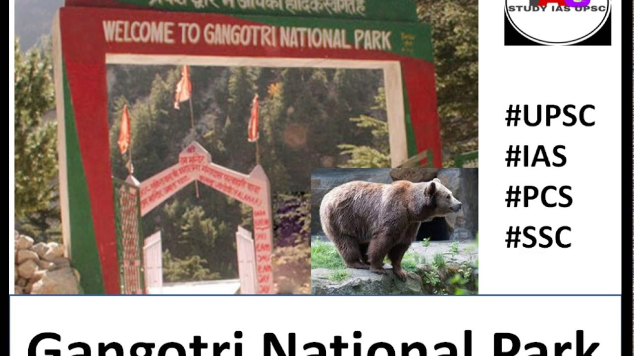 Gangotri National Park I Wildlife Advisory Board permit transfer forest