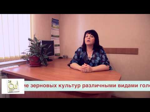 Классификация химических элементов