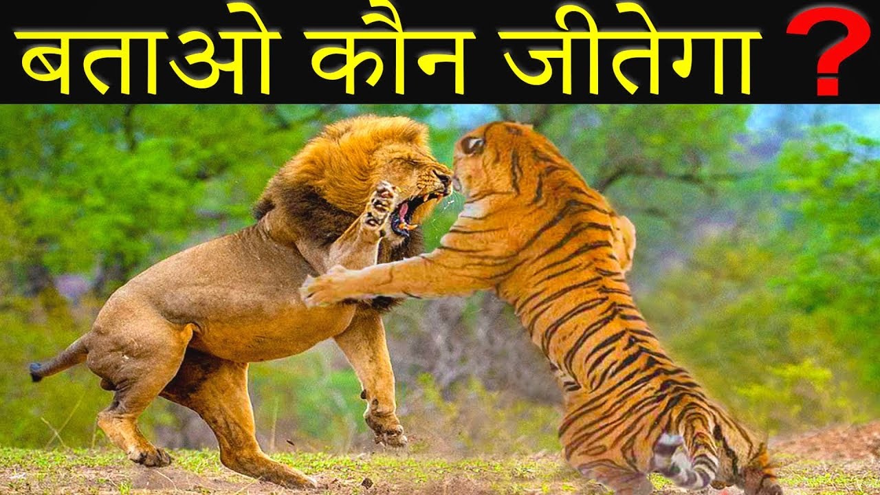 Chita ki ladai