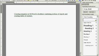 Famous Microsoft Word 2003 Styles and Formatting Wealth