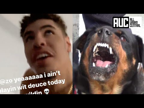 LaMelo Gets Terrorized By Lonzo Ball's Dog Locks Himself In Room For Protection