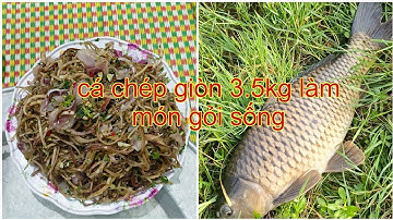 cá chép giòn 3.5kg làm gỏi ngon