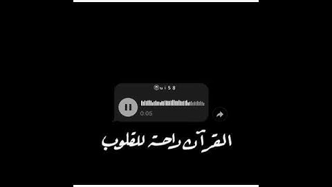 واشرقت الارض بنور ربها تلاوه قران كريم حالات واتس مقاطع انستقرام دينيه