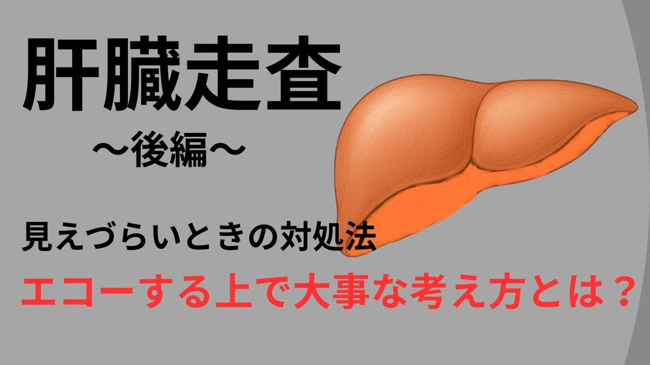 【超音波検査】 肝臓走査後編。見えづらいときのアプローチについて！