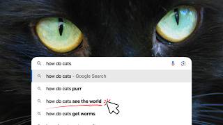 Answering Google’s Top Cat Questions | How Do Cats...?